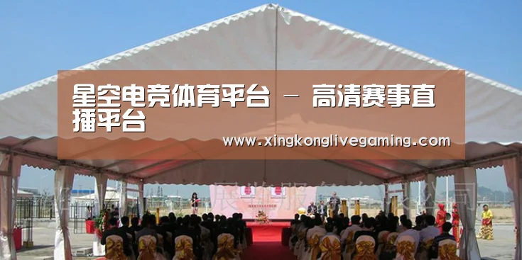 案例标题三